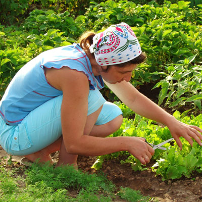 gardening-safe