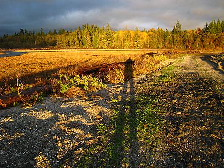 walking in the nature-1