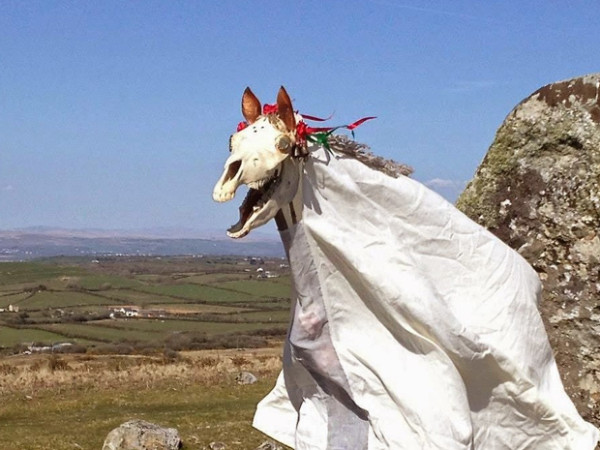 Mari Lwyd