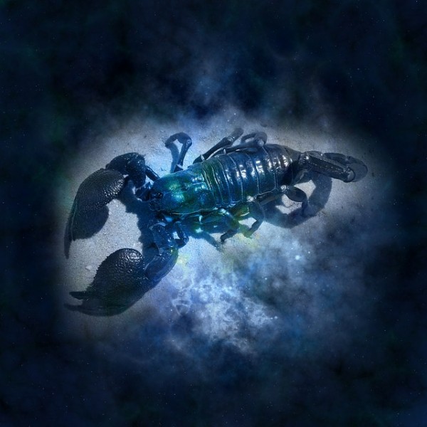 horoscope scorpion p